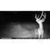 Камера стеження Stealth Cam Reactor Cellular Trail Camera, 26 MP