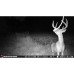 Камера слежения Stealth Cam Reactor Cellular Trail Camera26 MP