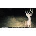 Камера слежения Stealth Cam Reactor Cellular Trail Camera26 MP