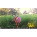 Камера слежения Stealth Cam Reactor Cellular Trail Camera26 MP