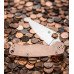 Spyderco Para-Military 2 Copper (3.4" Satin REX 45)