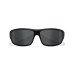 Очки тактические Wiley X Omega Captivate Polarized Grey Lens / Matte Black Frame, ACOME08