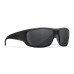 Тактичні окуляри Wiley X Omega Smoke Grey - Matte Black (ACOME01)