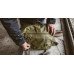 Сумка месенджер VIKTOS Counteract CCW Messenger Bag  — тактична EDC сумка для прихованого носіння